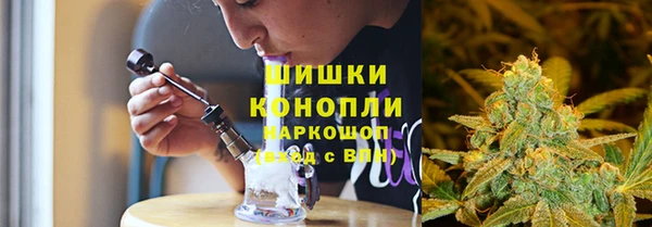 PSILOCYBIN Беломорск
