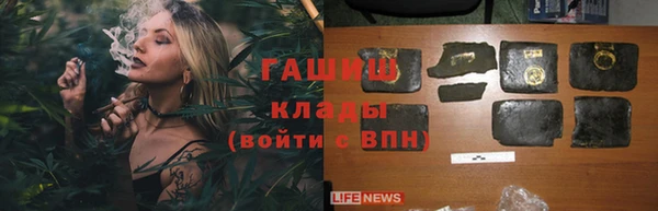 бошки Белокуриха