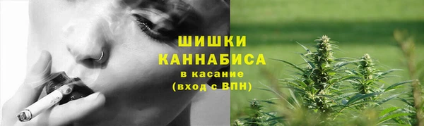бошки Белокуриха