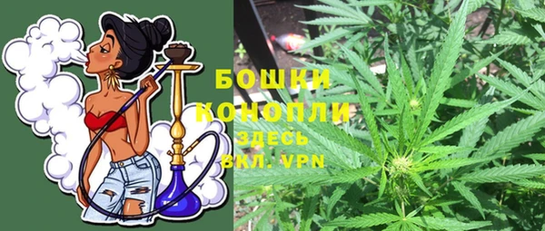 бошки Белокуриха