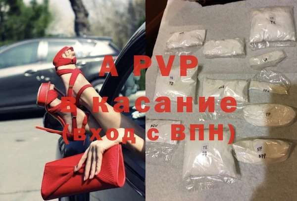PSILOCYBIN Беломорск