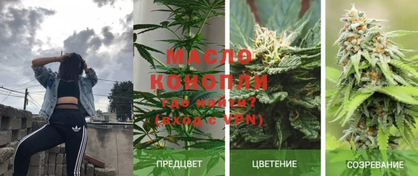 бошки Белокуриха