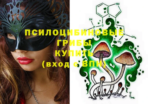 МДПВ Россошь