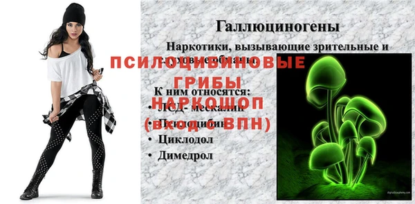 PSILOCYBIN Беломорск